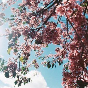 Meet your Posher, Christy